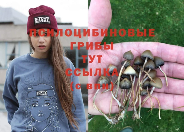 кокаин колумбия Новодвинск