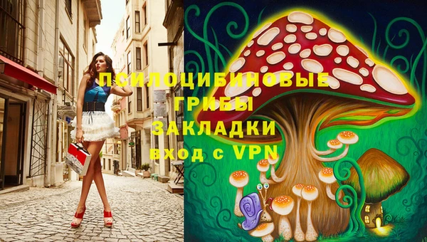 метадон Новозыбков
