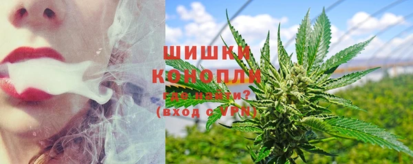 метадон Новозыбков