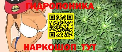 гашишное масло Дубна