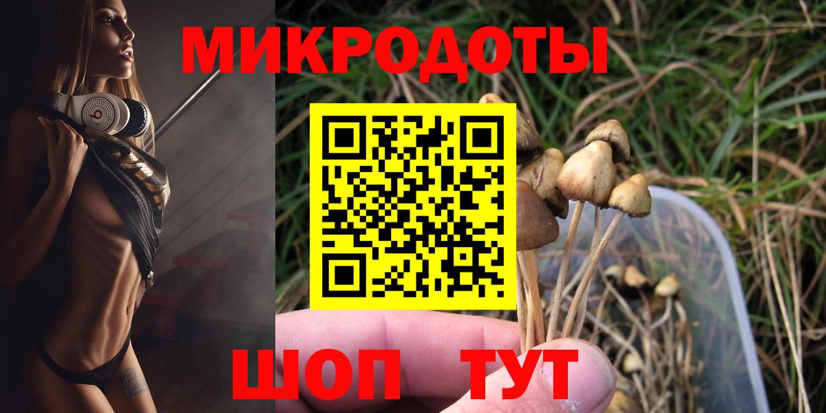 Псилоцибиновые грибы Cubensis Кингисепп