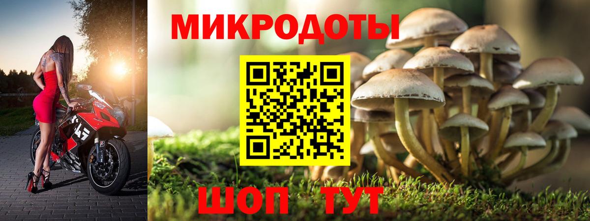 Галлюциногенные грибы MAGIC MUSHROOMS Кингисепп