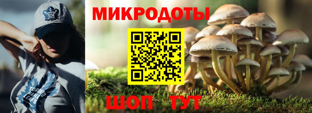 Галлюциногенные грибы прущие грибы  Вход с VPN  Кингисепп  Галлюциногенные грибы MAGIC MUSHROOMS 
