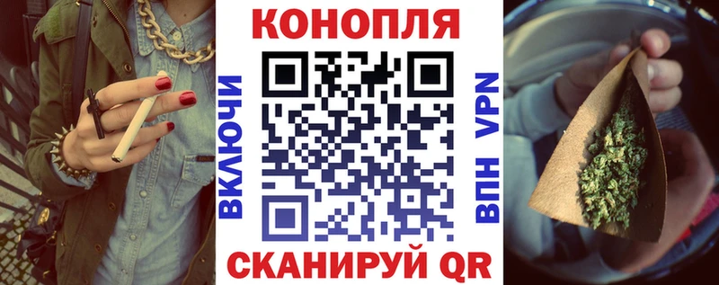 где найти наркотики  Кингисепп  Конопля гибрид 