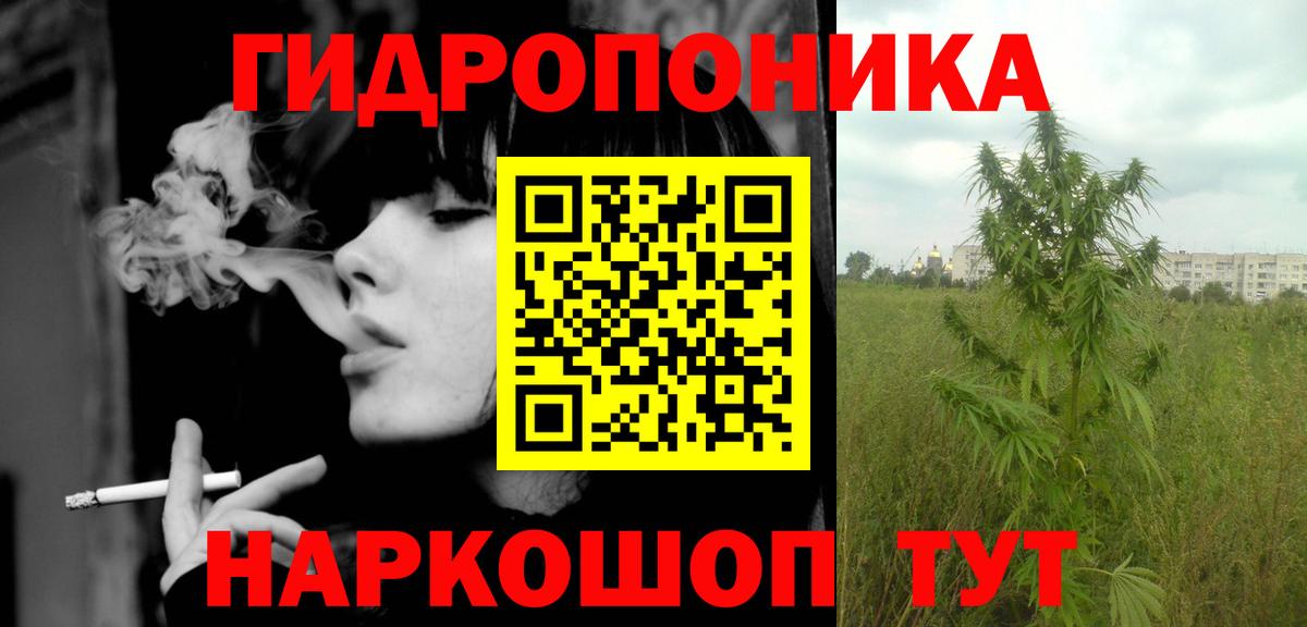Каннабис планчик Кингисепп